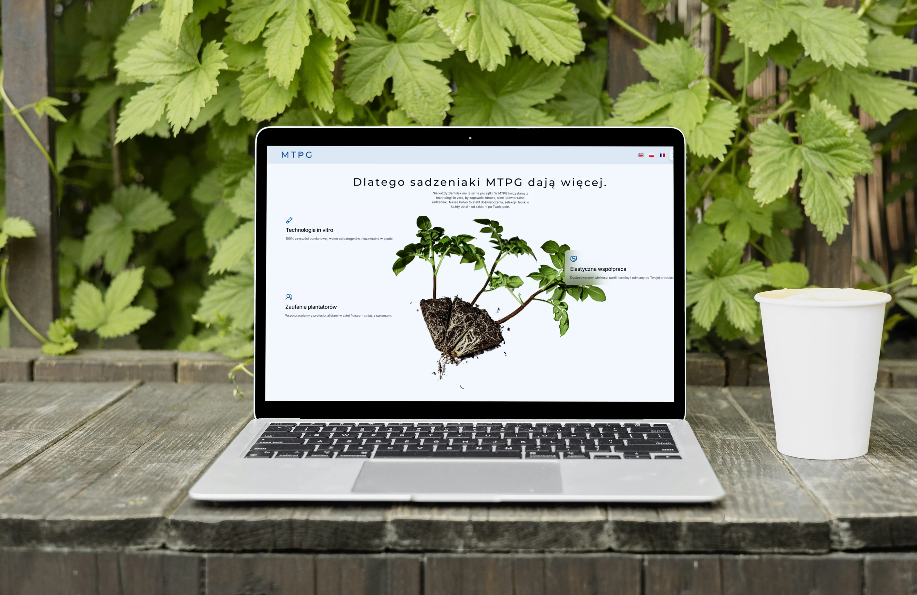 Mockup 1